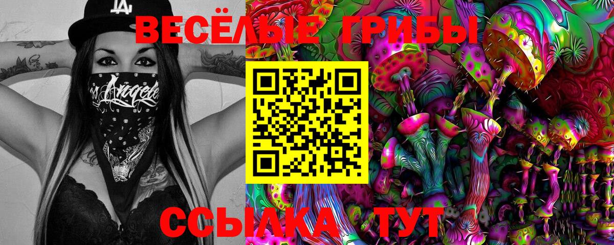 Галлюциногенные грибы MAGIC MUSHROOMS Свободный
