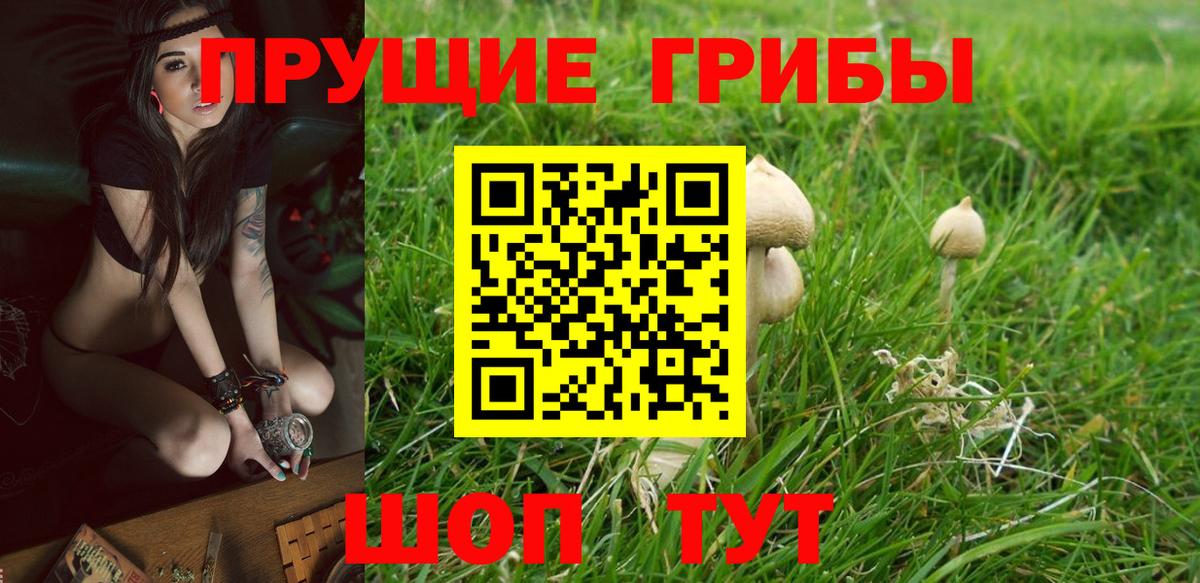 Свободный  Псилоцибиновые грибы мухоморы  Вход с VPN 